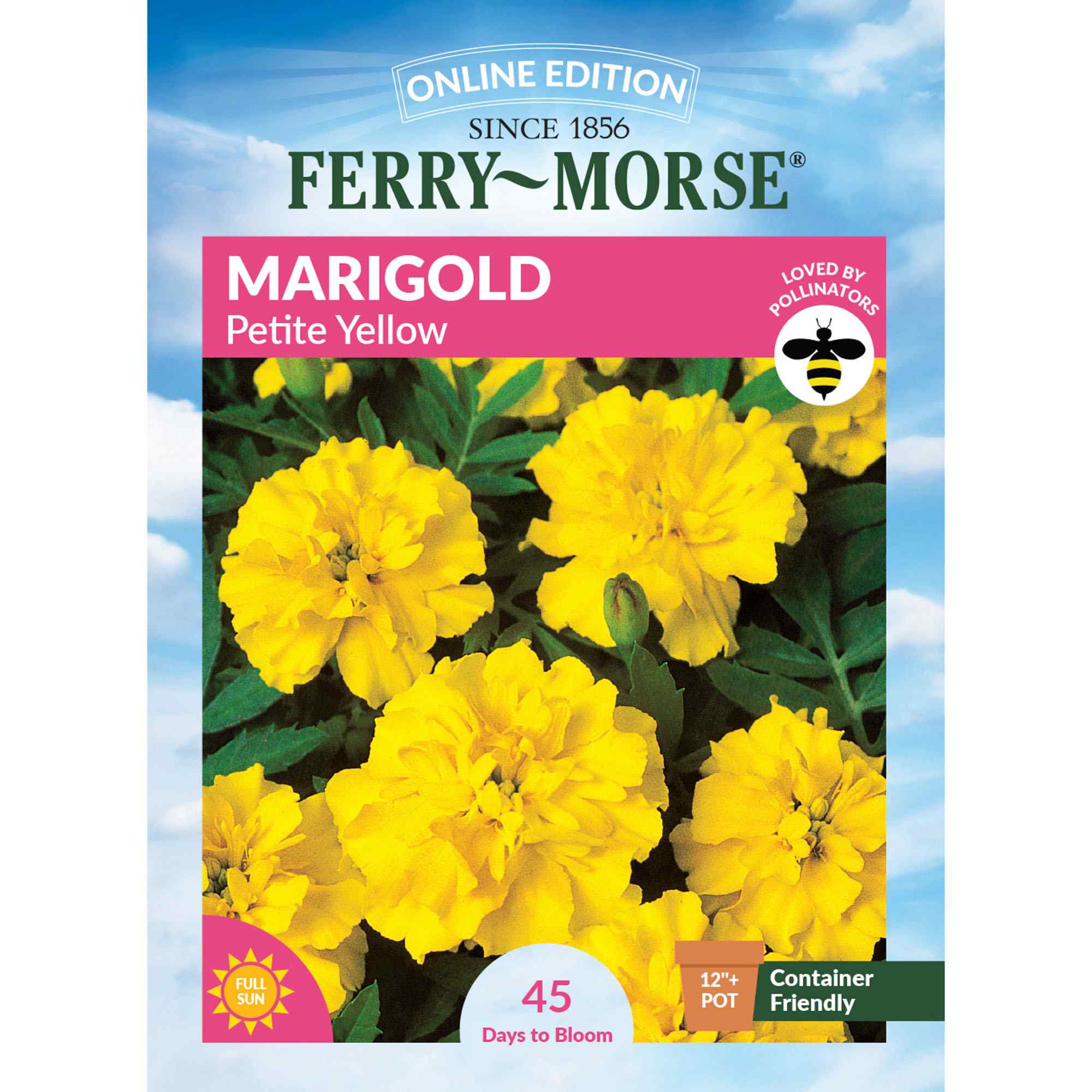 Marigold Petite Yellow front of packet